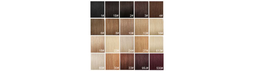 Les extensions Les extensions